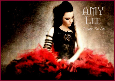 amy lee fanatic for life